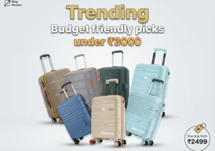 Trending budget-friendly hardshell suitcases under ₹3000 featuring top color choices.